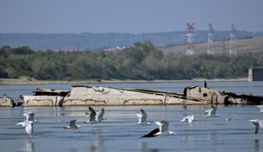 Danube River's shrinking water levels expose dozens of World War II ships