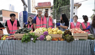 Israel doesn't just need more food aid. It needs food aid infrastructure.