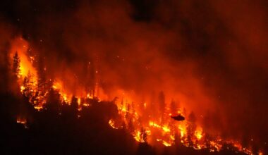 More than 200 foreign firefighters headed to B.C. to battle wildfires