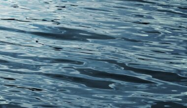 Good Samaritan identified after saving young girl in Myrtle Beach rip current