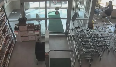 Arrests made in Toronto retail theft investigations