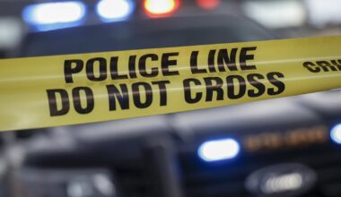 Man walking dog was kidnapped, vehicle stolen: Calgary police - CTV News