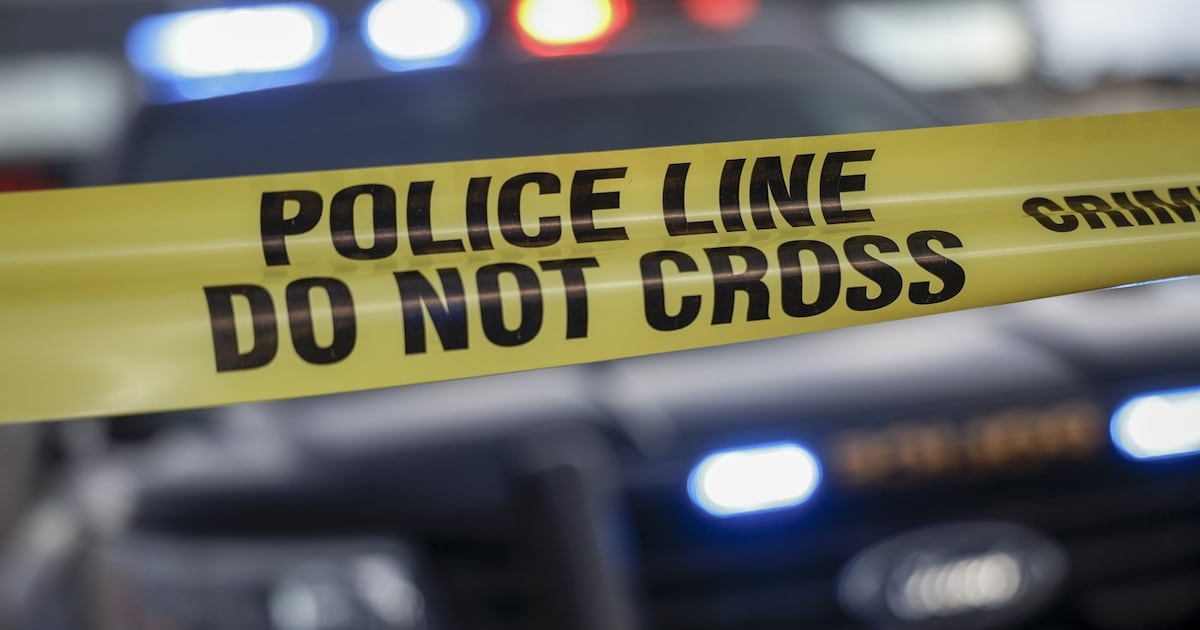 Man walking dog was kidnapped, vehicle stolen: Calgary police - CTV News