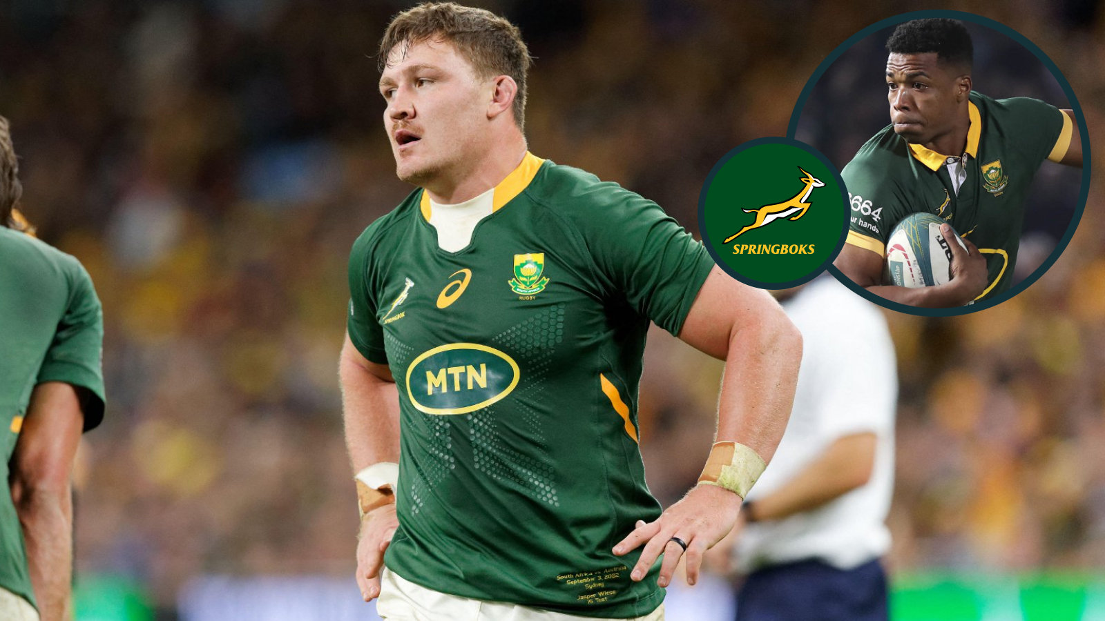 Springboks player ratings: 'Human battering ram' the shining light as several stars fail to fire in 'humiliating' All Blacks loss