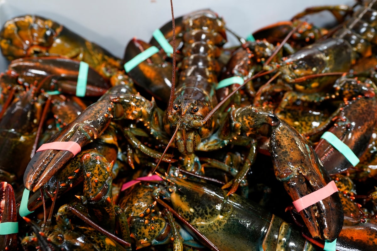 Ottawa removes seafood and fish products from counter-tariff list