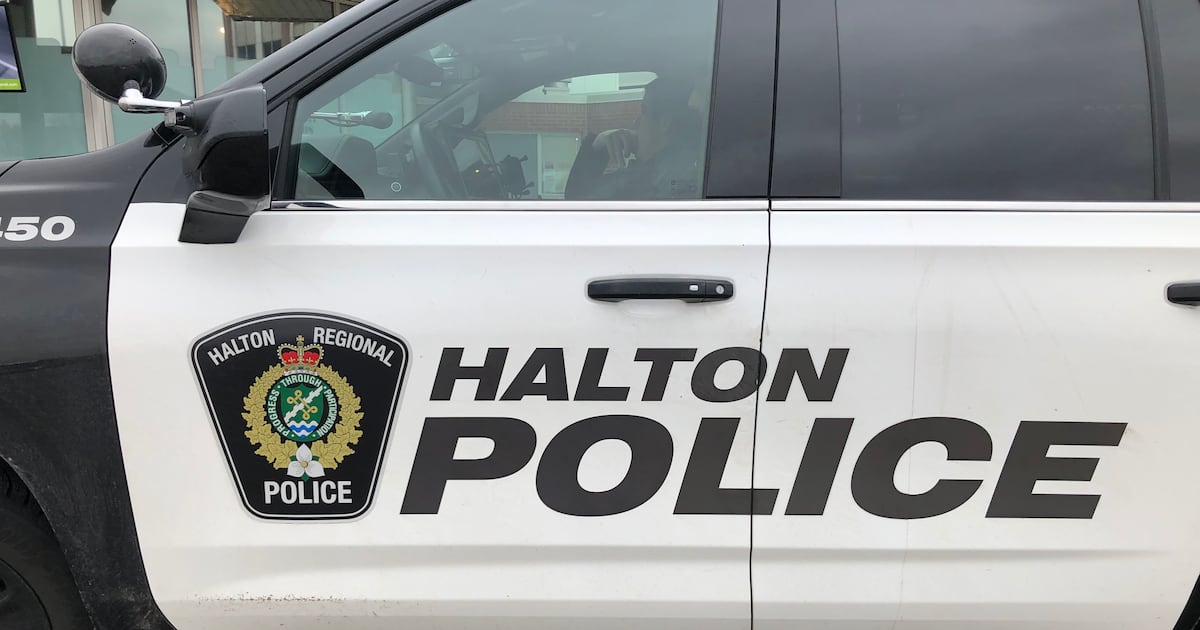 Man arrested after Milton hobby shop break-ins