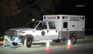 Human remains found at Palomar Mountain not Angelica Brophy: OPD – NBC 7 San Diego