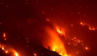 B.C. winemakers and ranchers flee wildfires, facing uncertain future - CTV News