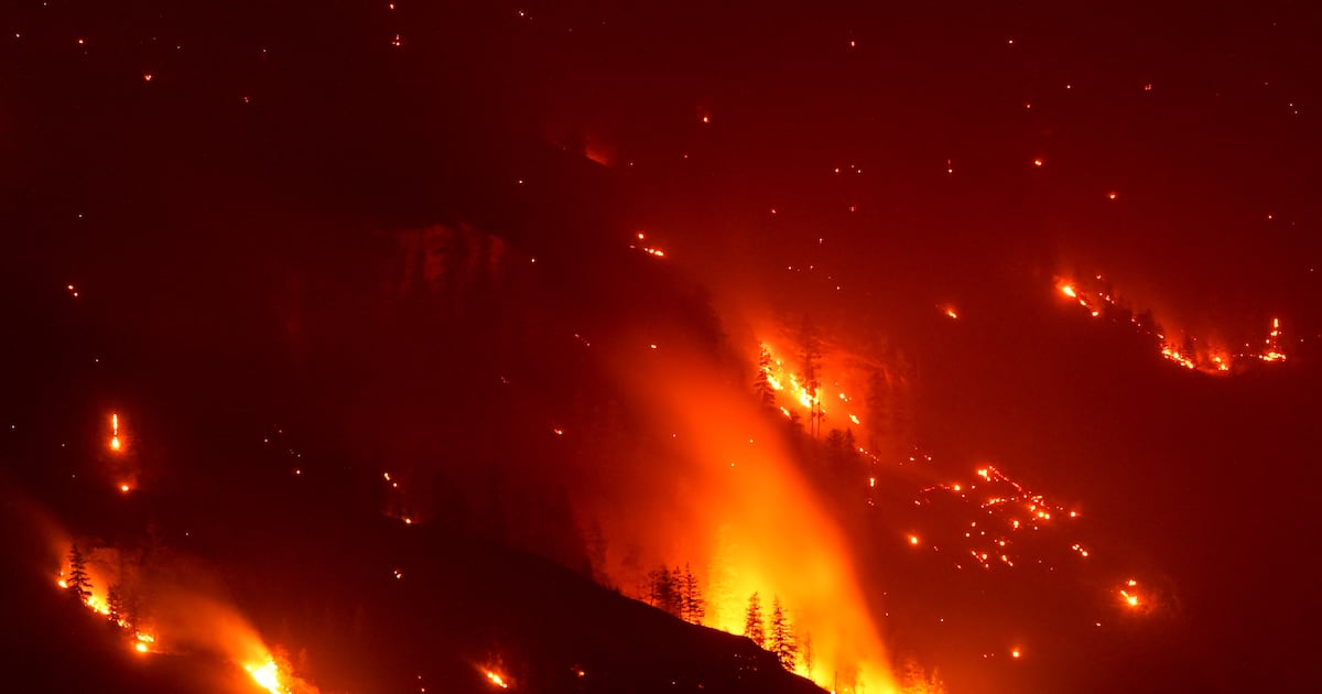 B.C. winemakers and ranchers flee wildfires, facing uncertain future - CTV News