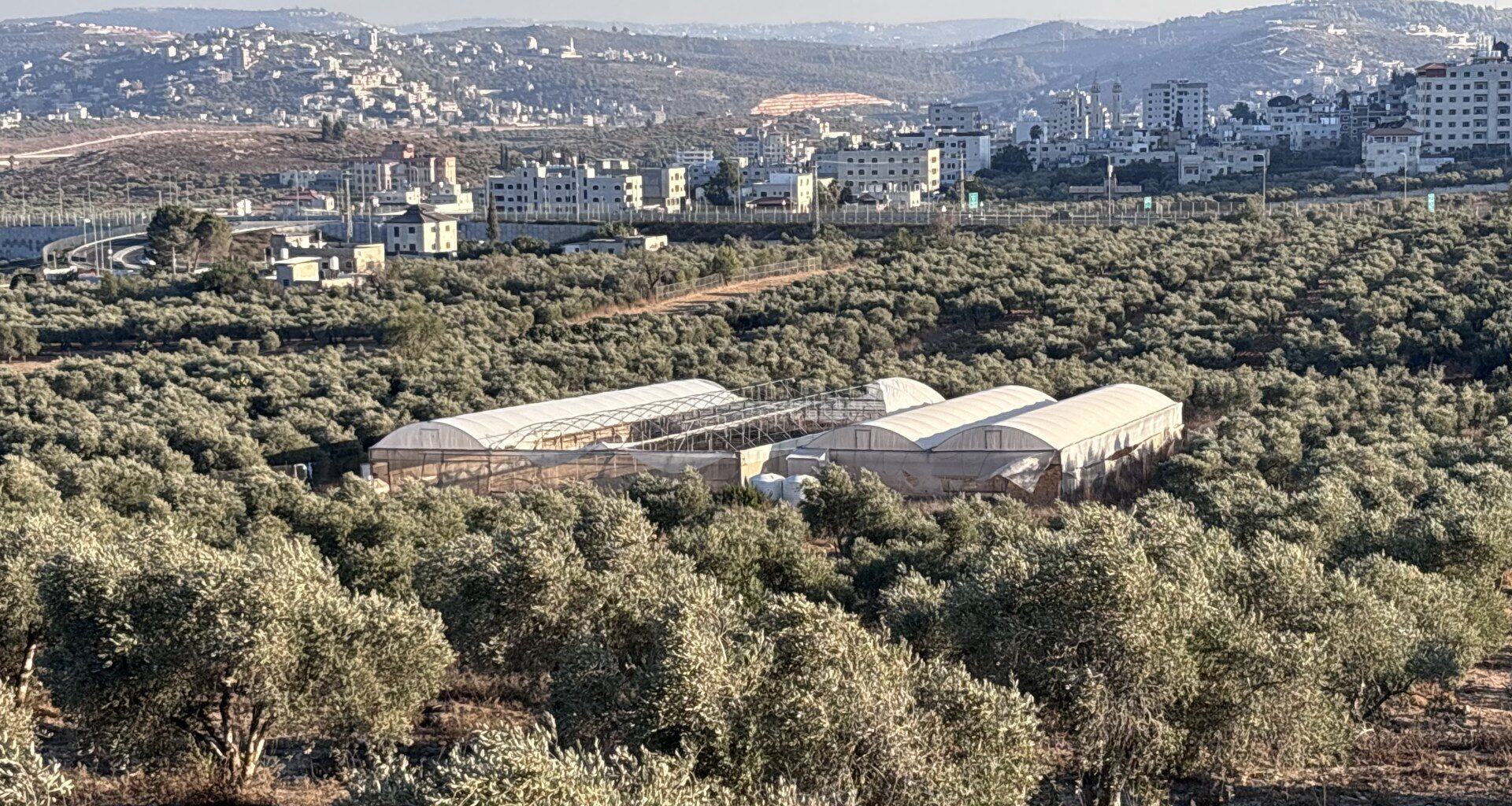 Palestinian farmers rebuild what Israeli settlers destroy in West Bank | Israel-Palestine conflict News