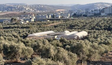Palestinian farmers rebuild what Israeli settlers destroy in West Bank | Israel-Palestine conflict News