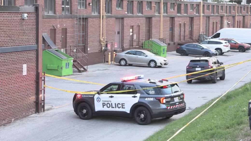 Click to play video: 'Toronto police investigating possible human remains found in Scarborough'