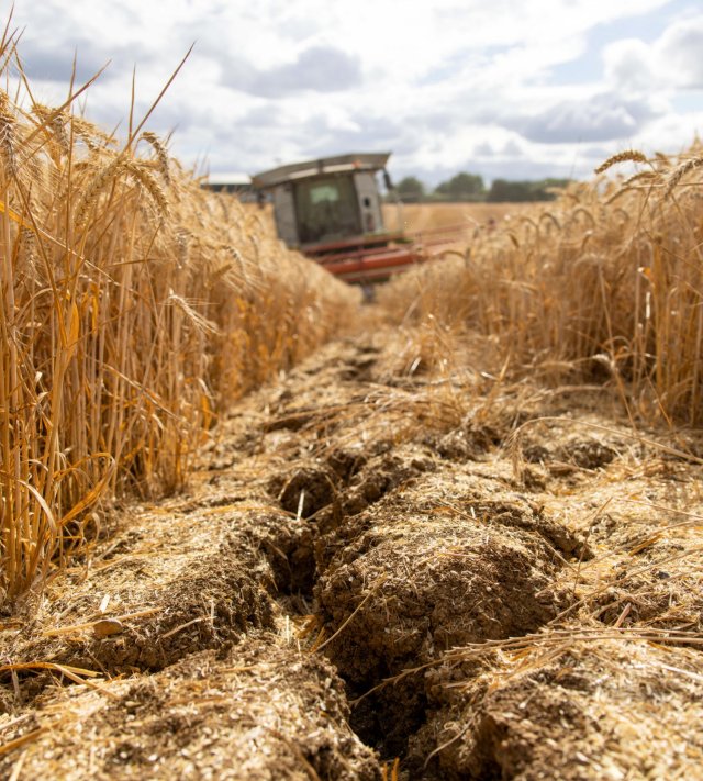 Large cracks in the soil of a wheat field in Chelmsford, UK, on Wednesday, Aug. 3, 2022. Droughts, flooding and heatwaves threaten wheat output from the U.S. to France and India, compounding shrinking production in Ukraine. Photographer: Hollie Adams/Bloomberg via Getty Images