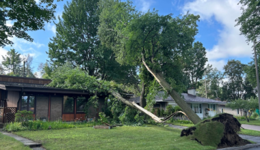 Summer storm brings 22 mm of rain, 100 km/h wind gusts to Ottawa - CTV News