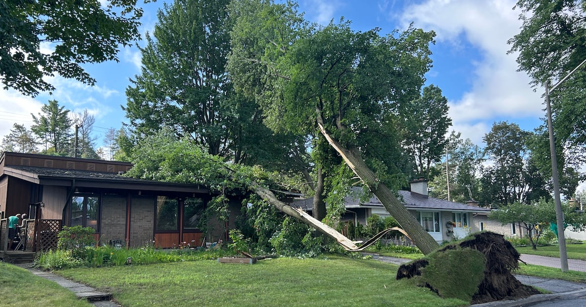 Summer storm brings 22 mm of rain, 100 km/h wind gusts to Ottawa - CTV News