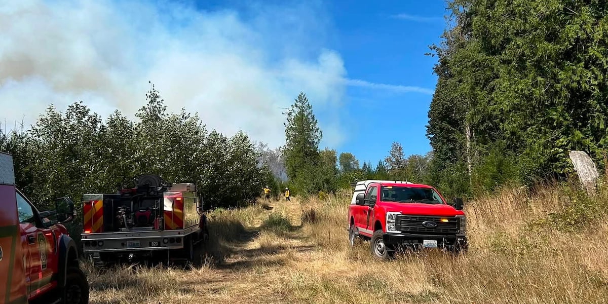 Evacuations reduced to Level 1 for Hidden Meadows wildfire in rural Clark County
