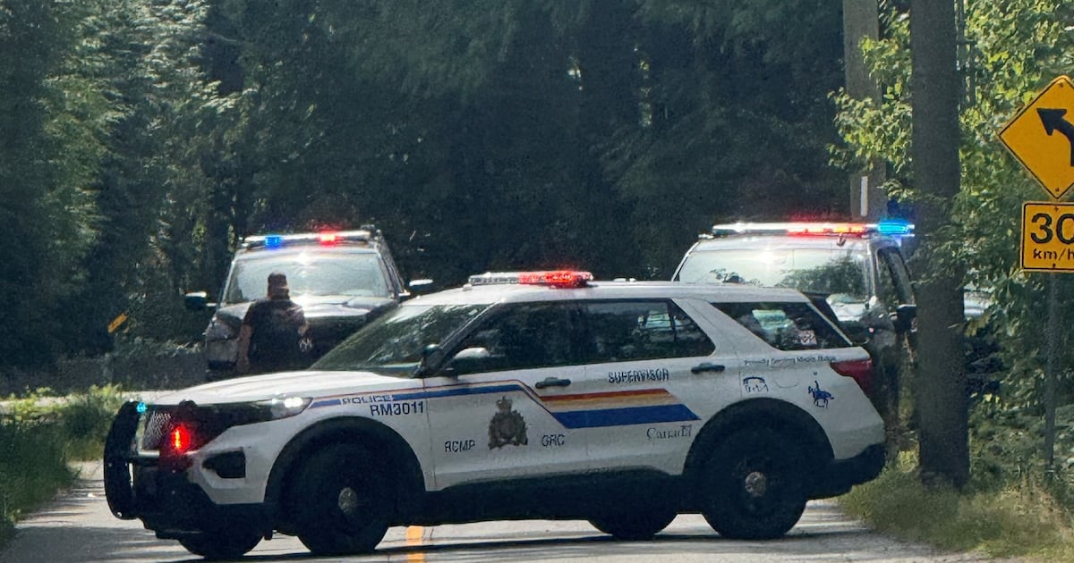 ‘Still in shock’: B.C. mom describes bear attack on toddler - CTV News