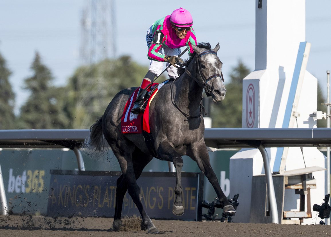 Luster Shines in the King's Plate