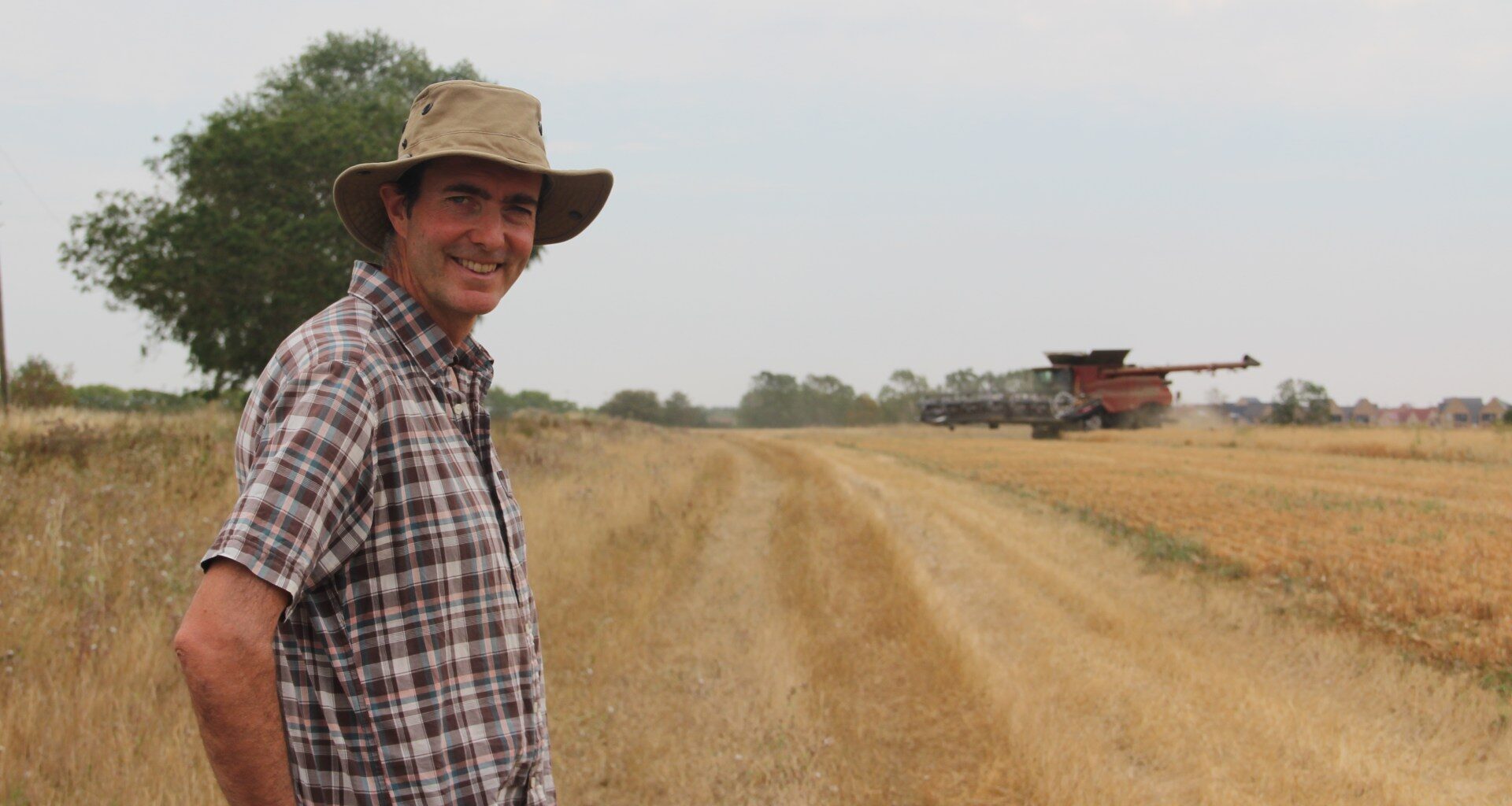 As temperatures soar, ‘exceptionally serious’ drought imperils UK farmers | Weather News