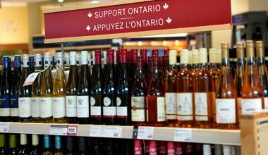 Here are six Canadian wines to drink instead of U.S. labels