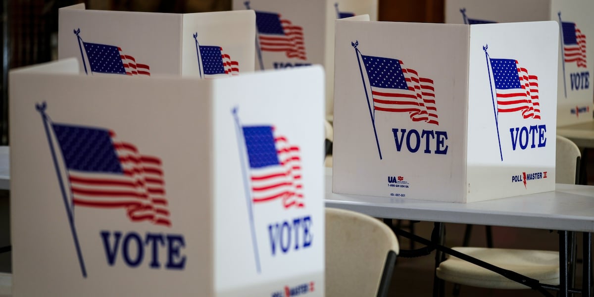 Tennessee primary, general election results are in; check races here - WVLT