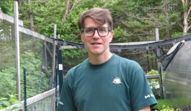 Crews planting 1.25 million trees in Gros Morne to help forest recover from once abundant moose population