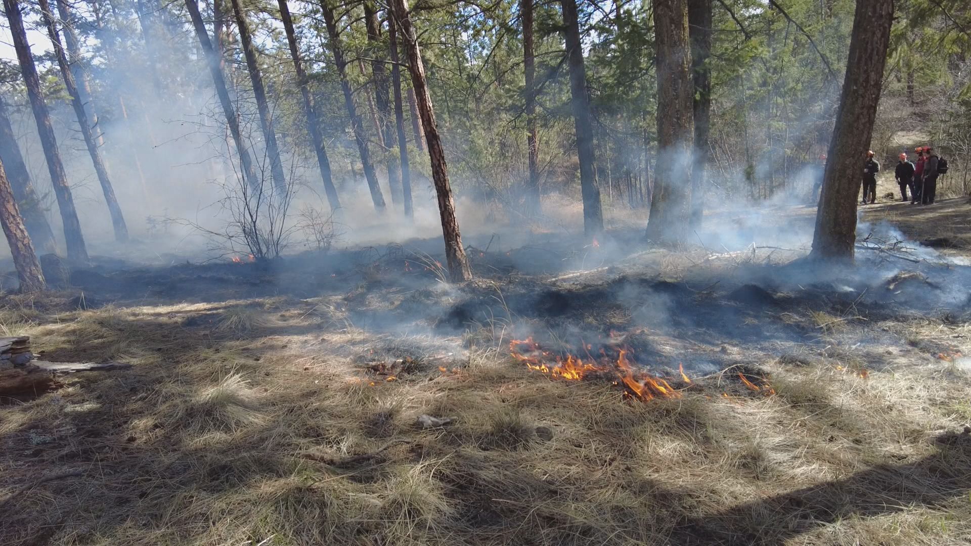 Click to play video: 'Summerland prescribed burns were in planning stage before Bald Range wildfire'