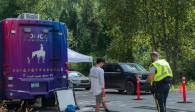 Dozens of drug-impaired drivers caught leaving Shambhala festival in B.C., police say - CTV News