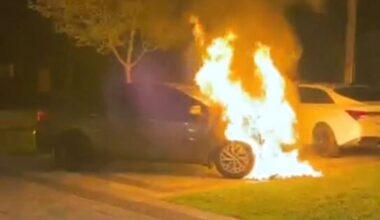 Toronto police release extended video of suspect setting vehicles on fire outside MP’s Scarborough home - CTV News