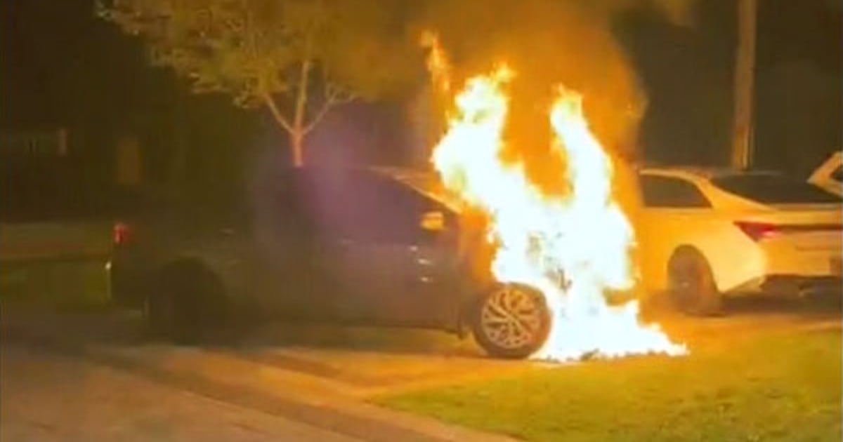 Toronto police release extended video of suspect setting vehicles on fire outside MP’s Scarborough home - CTV News