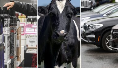 Alcohol, dairy and autos: What is and isn’t on the table in Canada-U.S. trade negotiations - CTV News