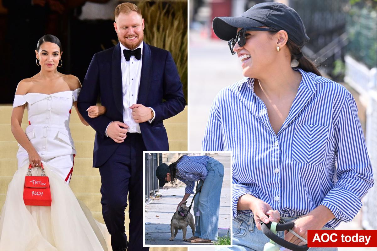 AOC doesn't deny breaking up with fiancé Riley Roberts, after posting egg retrieval video