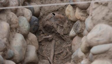 Skeletal remains believed to be person sacrificed during ritual unearthed by archaeologists in Peru
