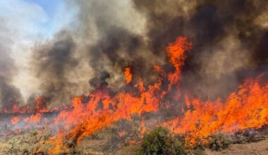 Helicopter crash kills pilot and crew member amid Utah wildfire battle | Environment News