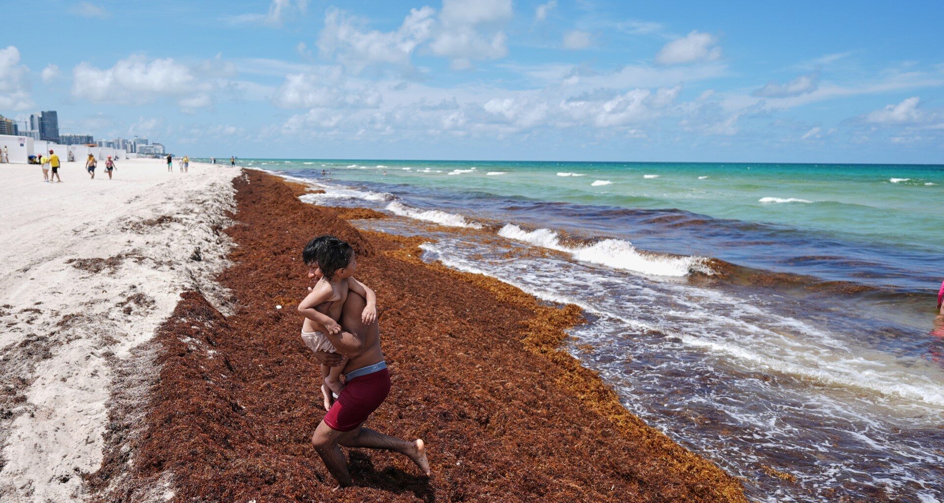 Global ocean temperatures hit record high as El Nino intensifies | Climate Crisis News