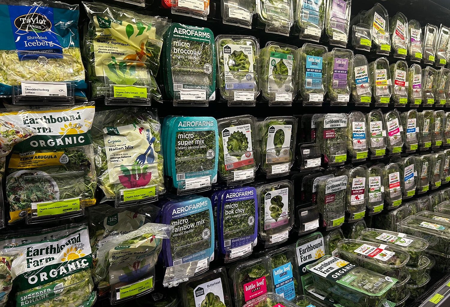 Cyclospora in Philadelphia: Lettuce shoppers on alert amid 13 cases