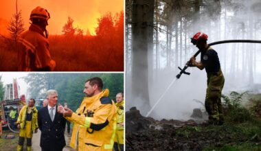 Devastating Belgian wildfire moves toward Germany as blazes break out in Greece, France: 'Will take decades to recover'