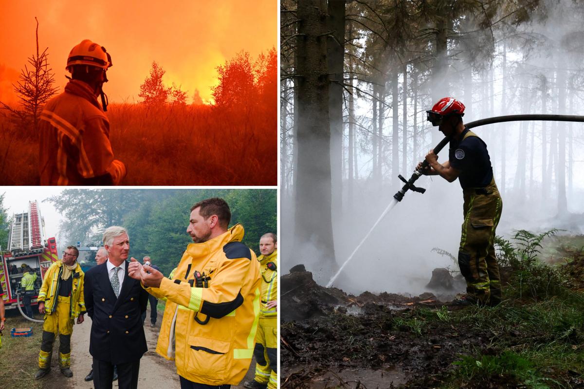 Devastating Belgian wildfire moves toward Germany as blazes break out in Greece, France: 'Will take decades to recover'