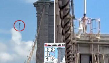 Naked nutjob who leaped from Brooklyn Bridge and miraculously survived identified