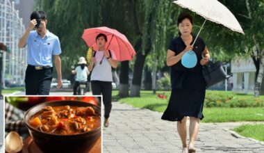 North Koreans encouraged to eat 'nutritious' dog-meat soup during sweltering summer heat