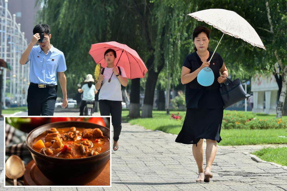 North Koreans encouraged to eat 'nutritious' dog-meat soup during sweltering summer heat