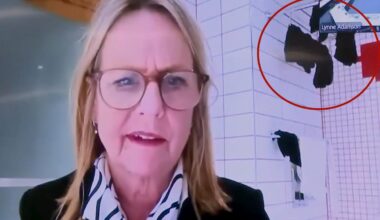 New Zealand politician caught joining city council meeting from bathroom