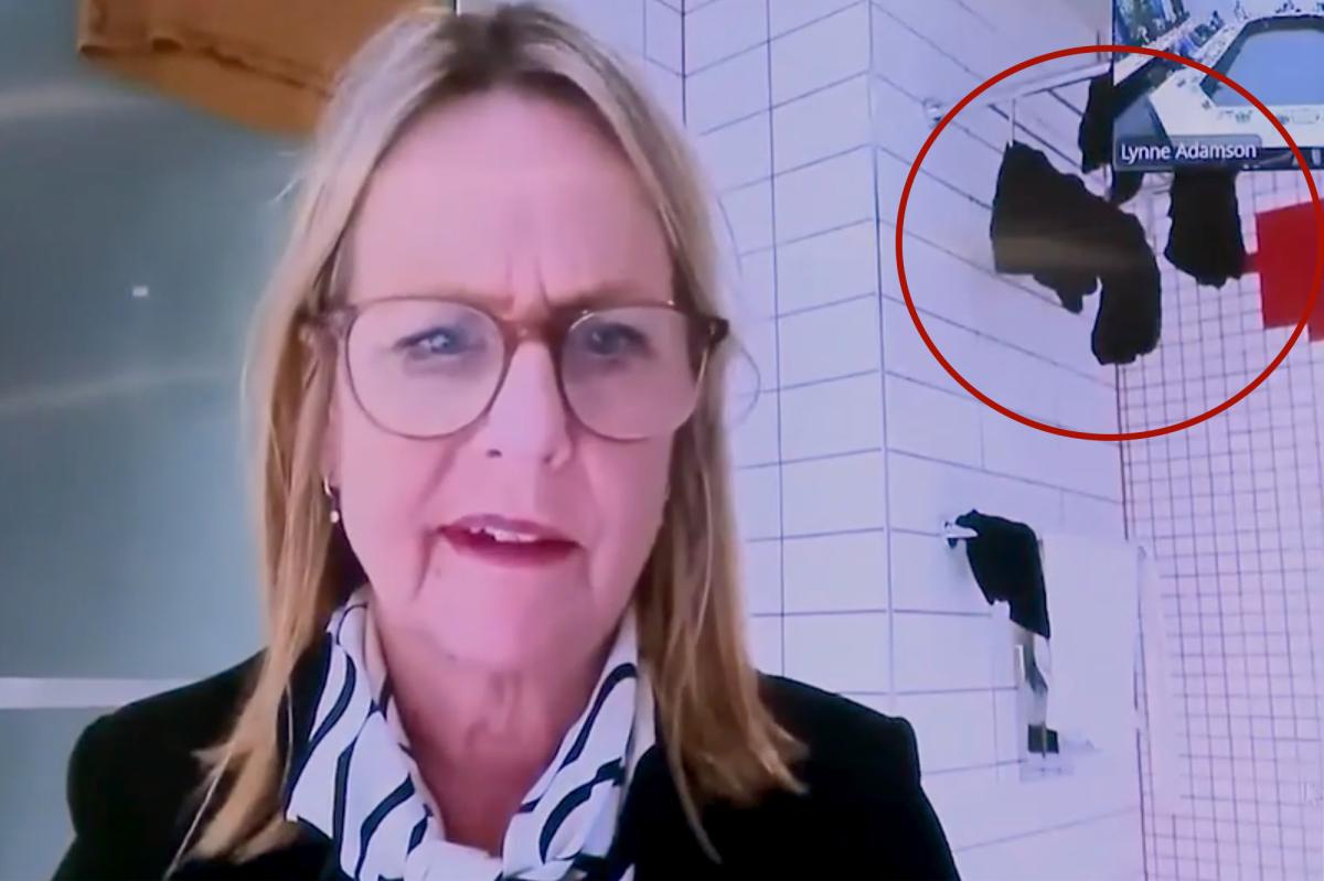 New Zealand politician caught joining city council meeting from bathroom