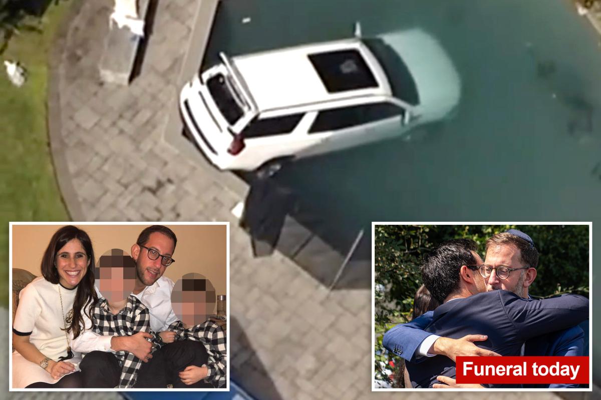 Cause of death revealed in horror case of Long Island teacher and mom of 4 who died after driving SUV into pool 