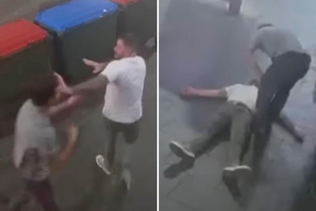 Violent street assault captured on surveillance as bystanders intervene