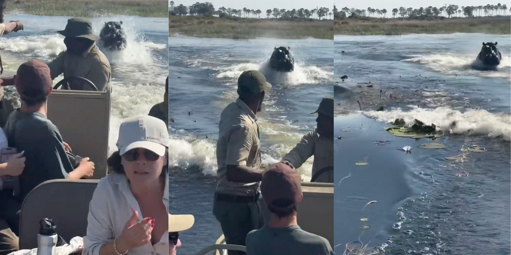 Must see: Massive hippo chases tourist boat in African waterway