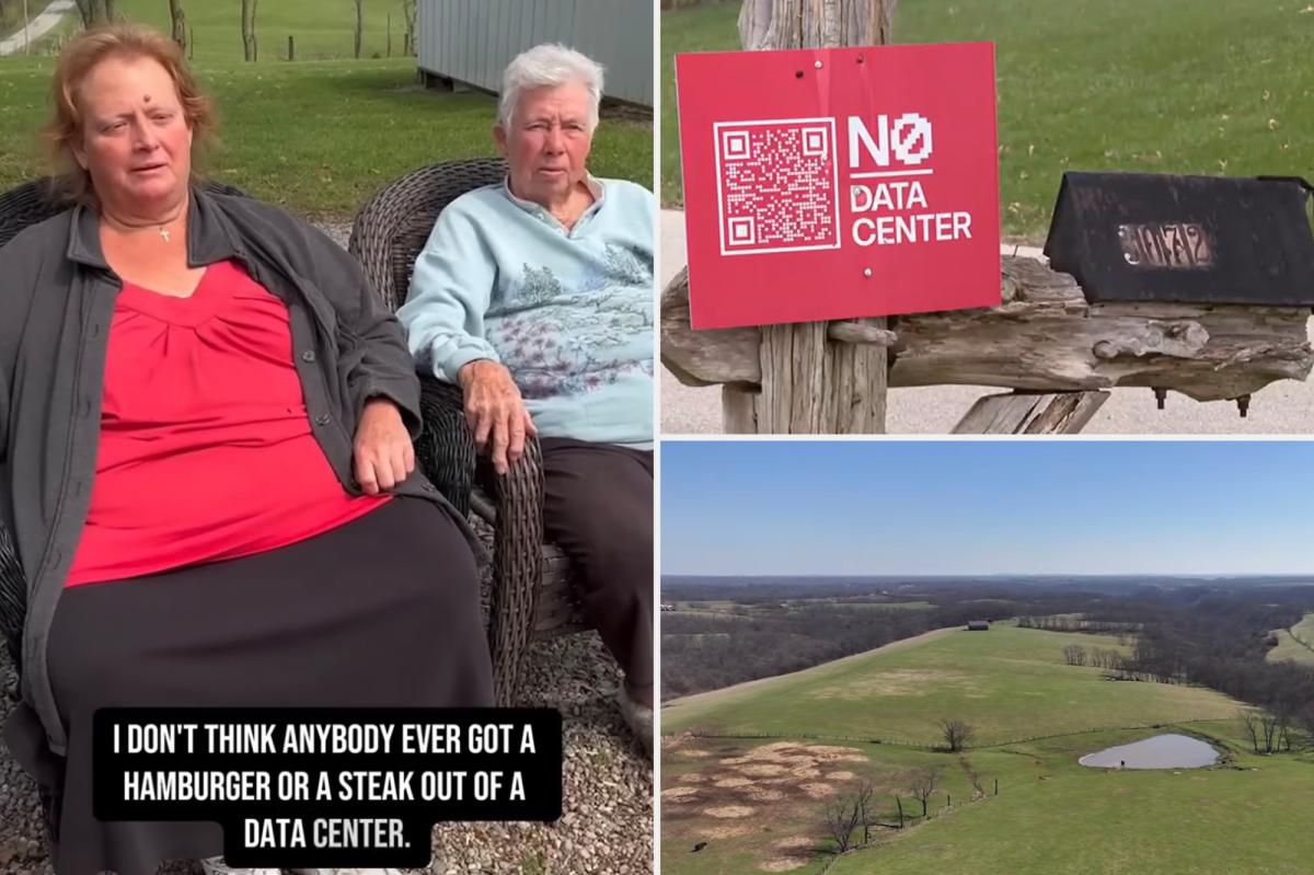 'Country hick' Kentucky farm owner had terse 6-word response after being offered $26M to build data centers