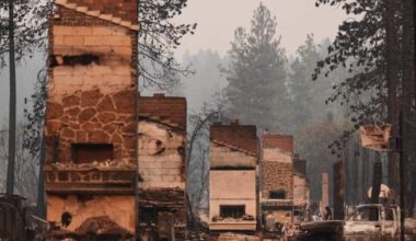 Arson suspect in devastating Spokane, Wash. wildfire arrested - BC