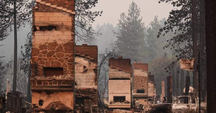Arson suspect in devastating Spokane, Wash. wildfire arrested - BC