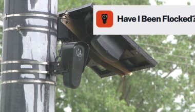 Have you been Flocked? How to check if your license plate is in audit logs